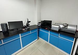 Shijiazhuang Huaxu Pharmaceutical Co.,Ltd